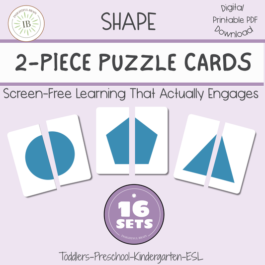 Montessori 2D Shape Puzzle Printable | Preschool Shape Matching Activity | Geometry Learning for Toddlers | Homeschool Montessori Materials