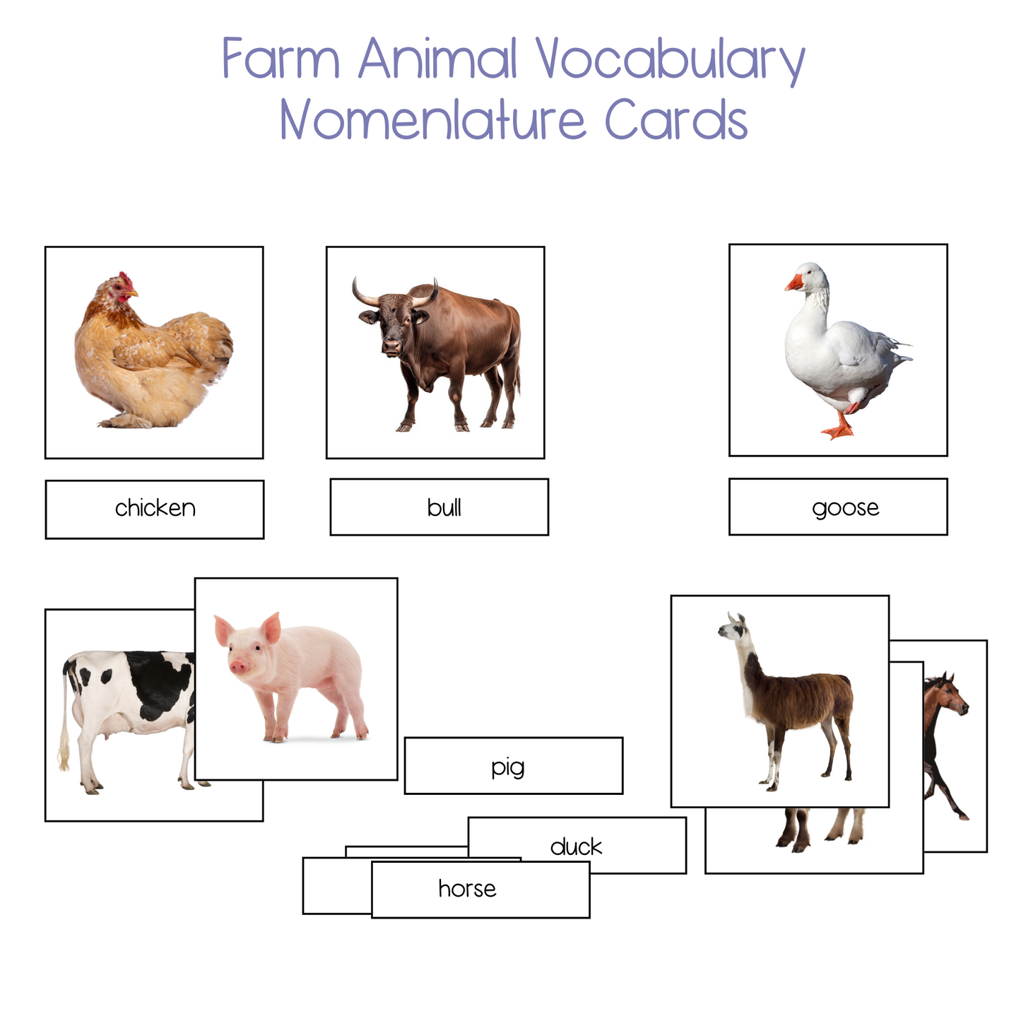 Farm Animal Vocabulary Nomenclature Cards