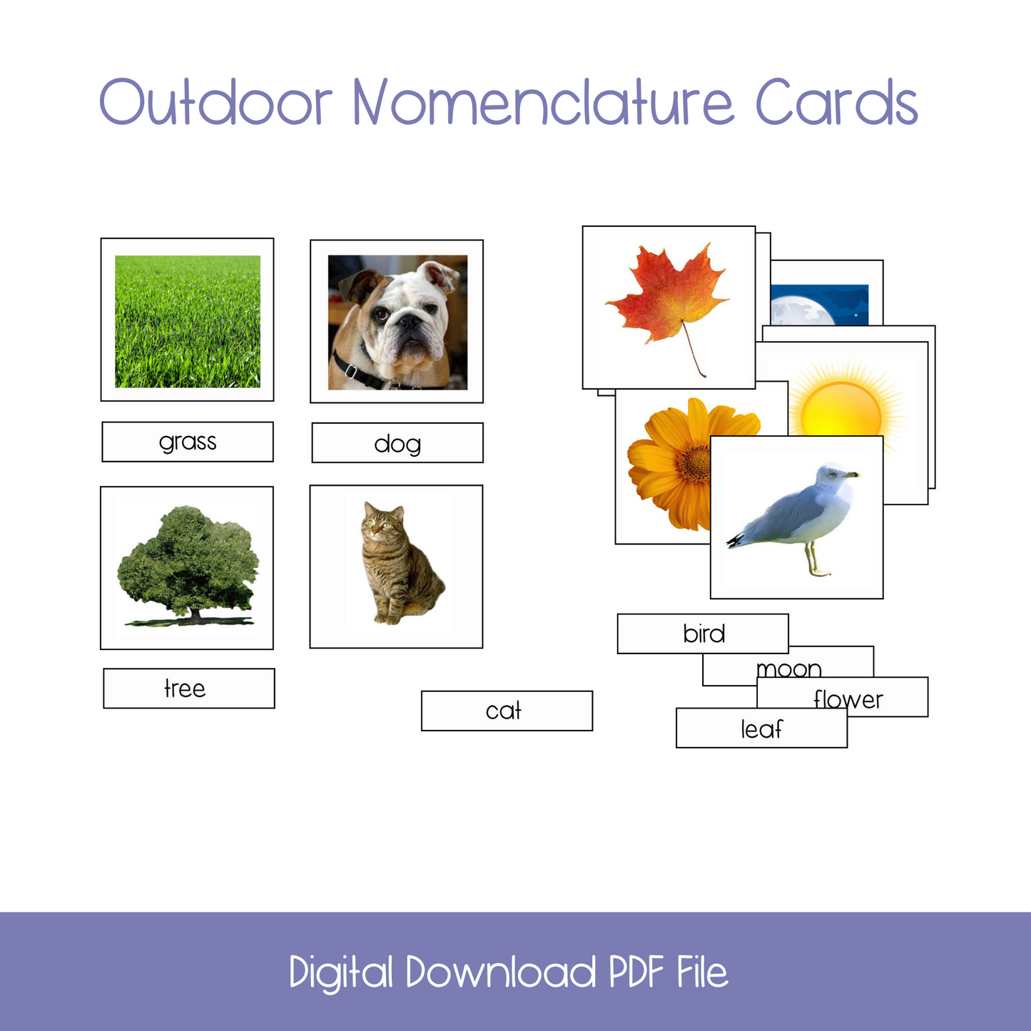 printable science activities, montessori materials, montessori printables, major biomes activity, elementary science activities, 3-part cards, montessori 3-part cards, life cycle of a butterfly, kindergarten life science, outdoor vocabulary cards,printable montessori nomenclature cards