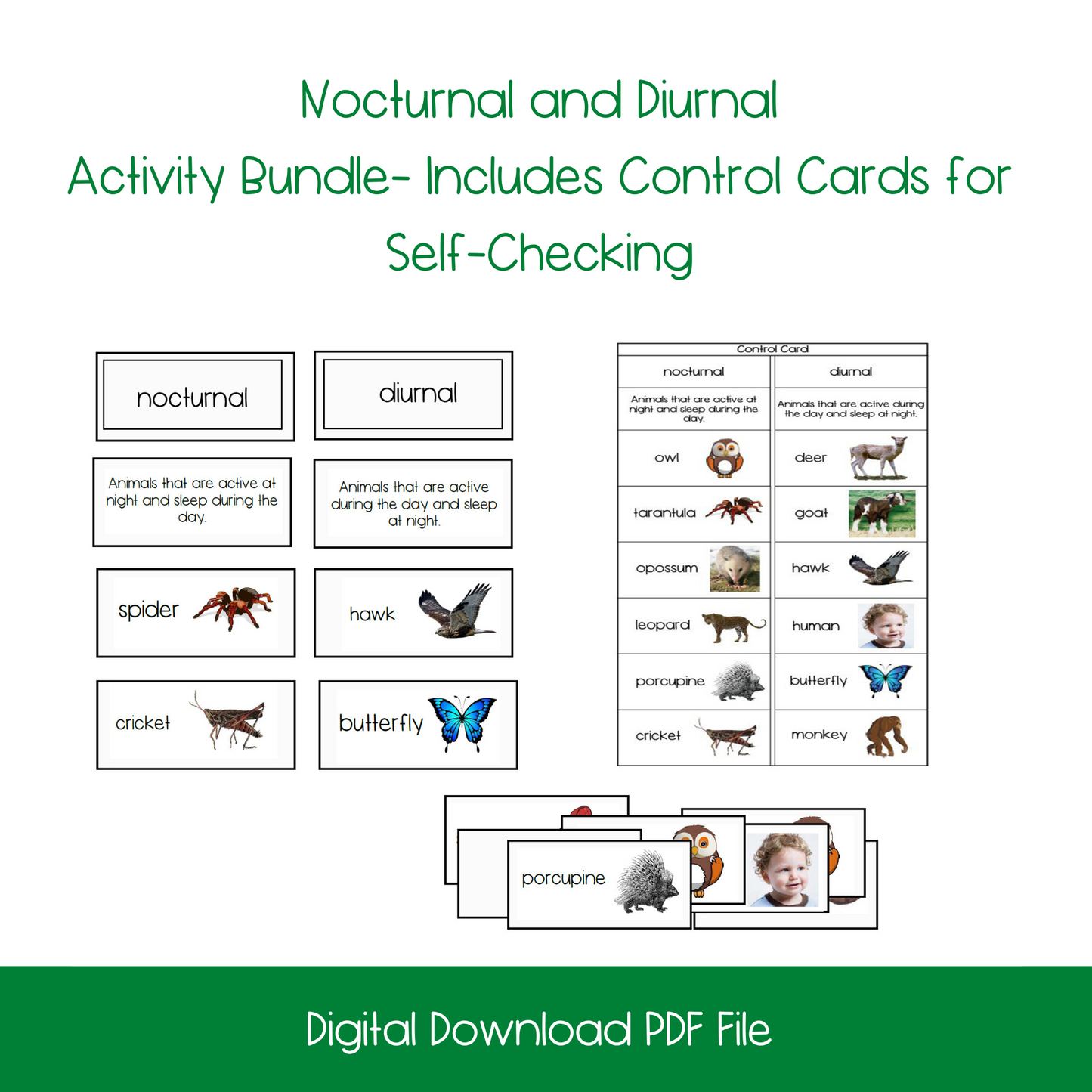 Nocturnal and Diurnal Classification/Sorting Card Set (2 Sets)