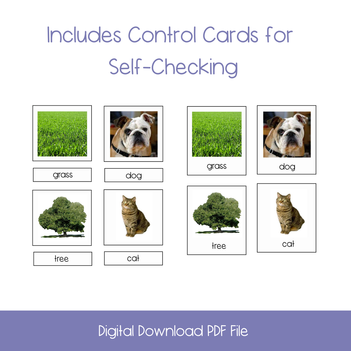 Outdoor Nomenclature Card Set