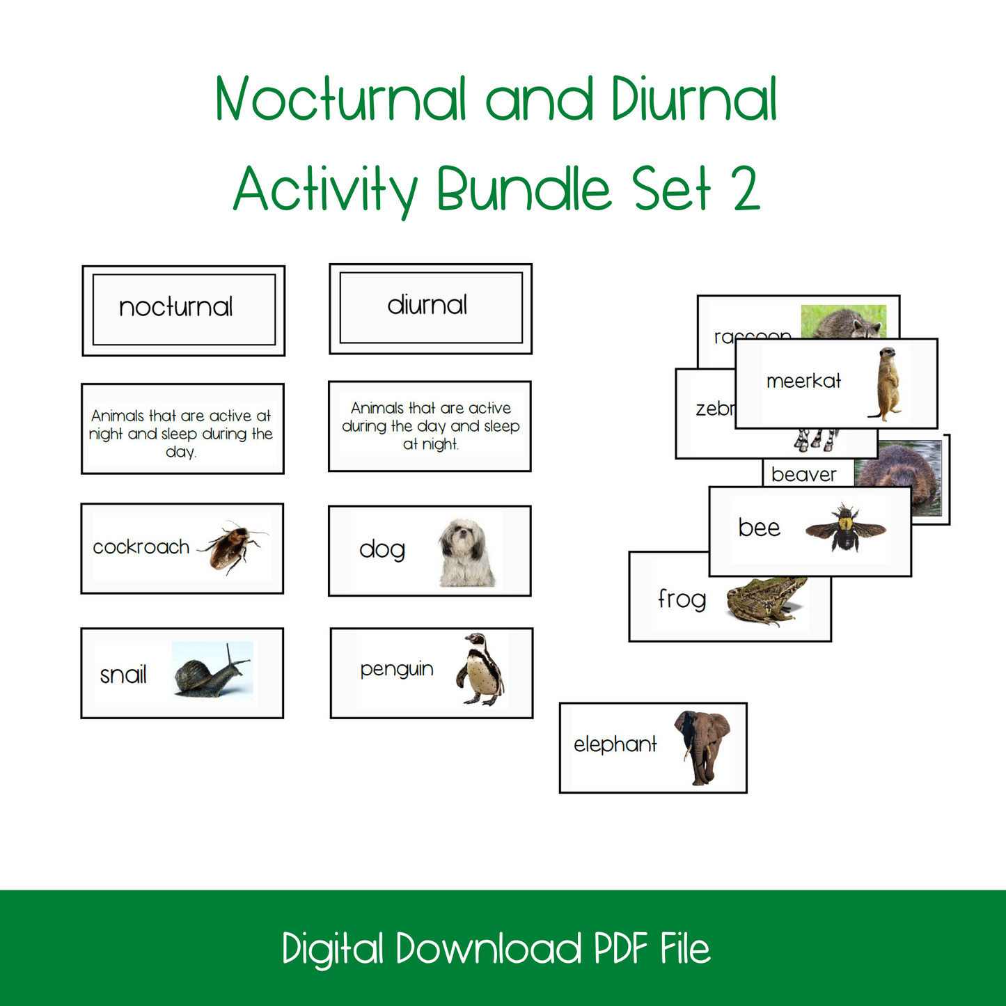 Nocturnal and Diurnal Classification/Sorting Card Set (2 Sets)