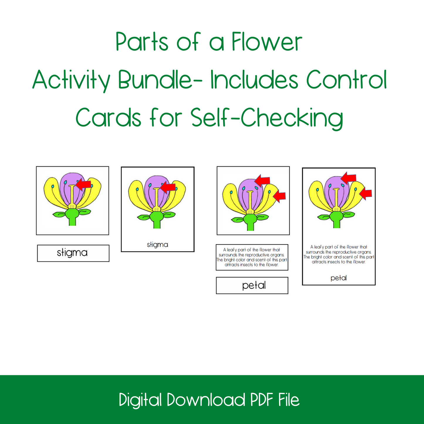 Parts of A Flower Bundle