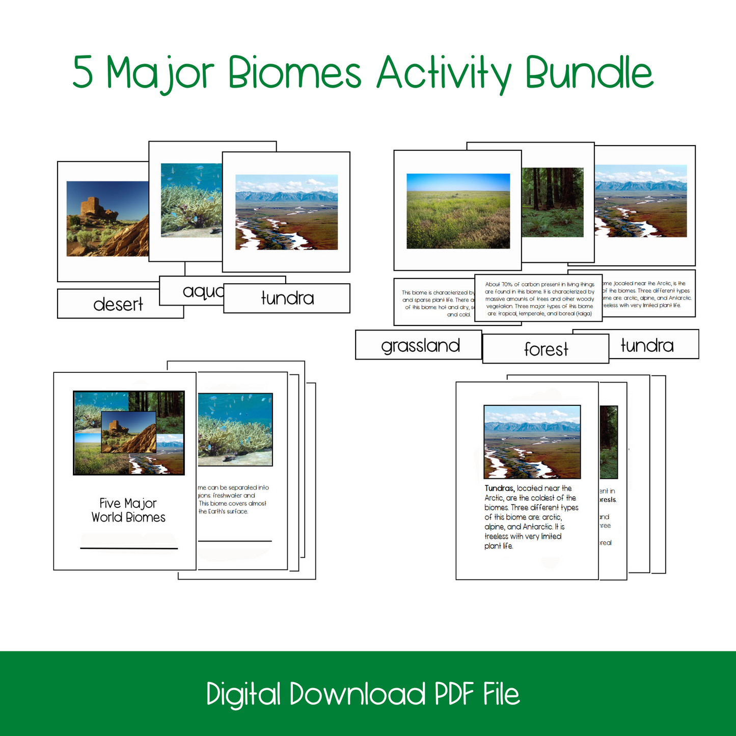 montessori science activities, montessori materials, montessori printables, major biomes activity, elementary science activities, 3-part cards, montessori 3-part cards, montessori nomenclature cards