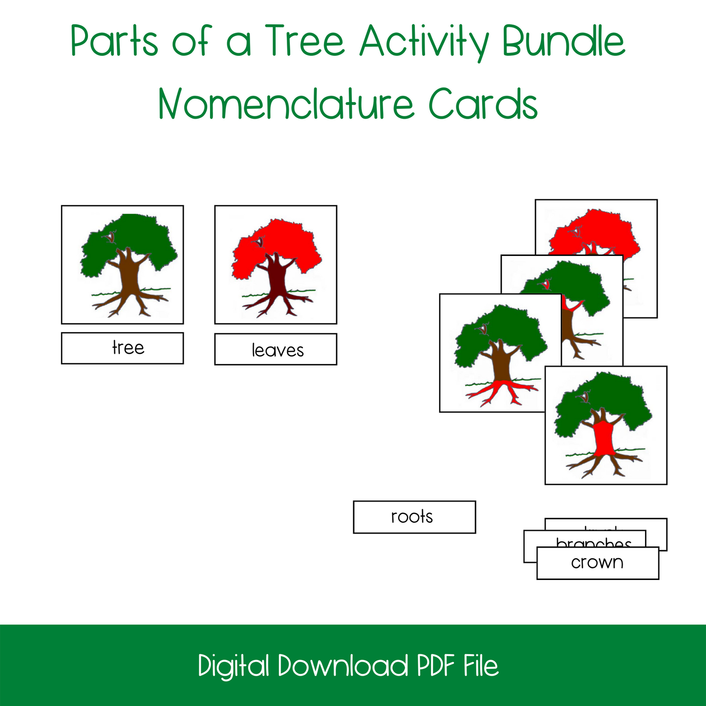 Parts of a Tree Activity Bundle