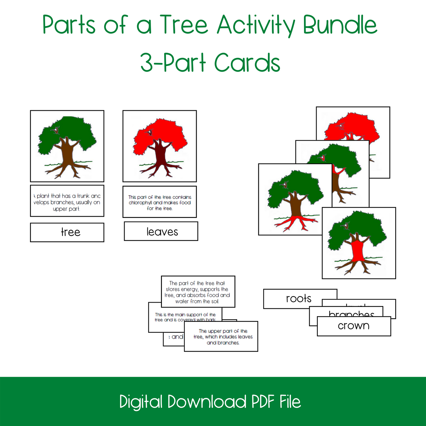 Parts of a Tree Activity Bundle