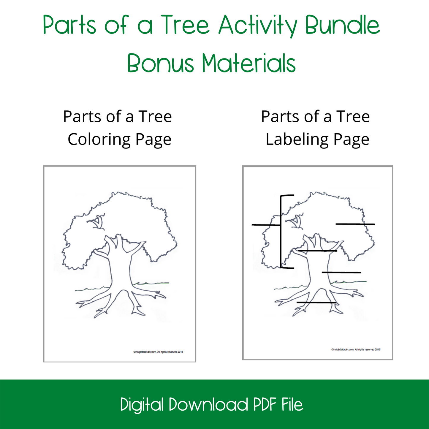 Parts of a Tree Activity Bundle