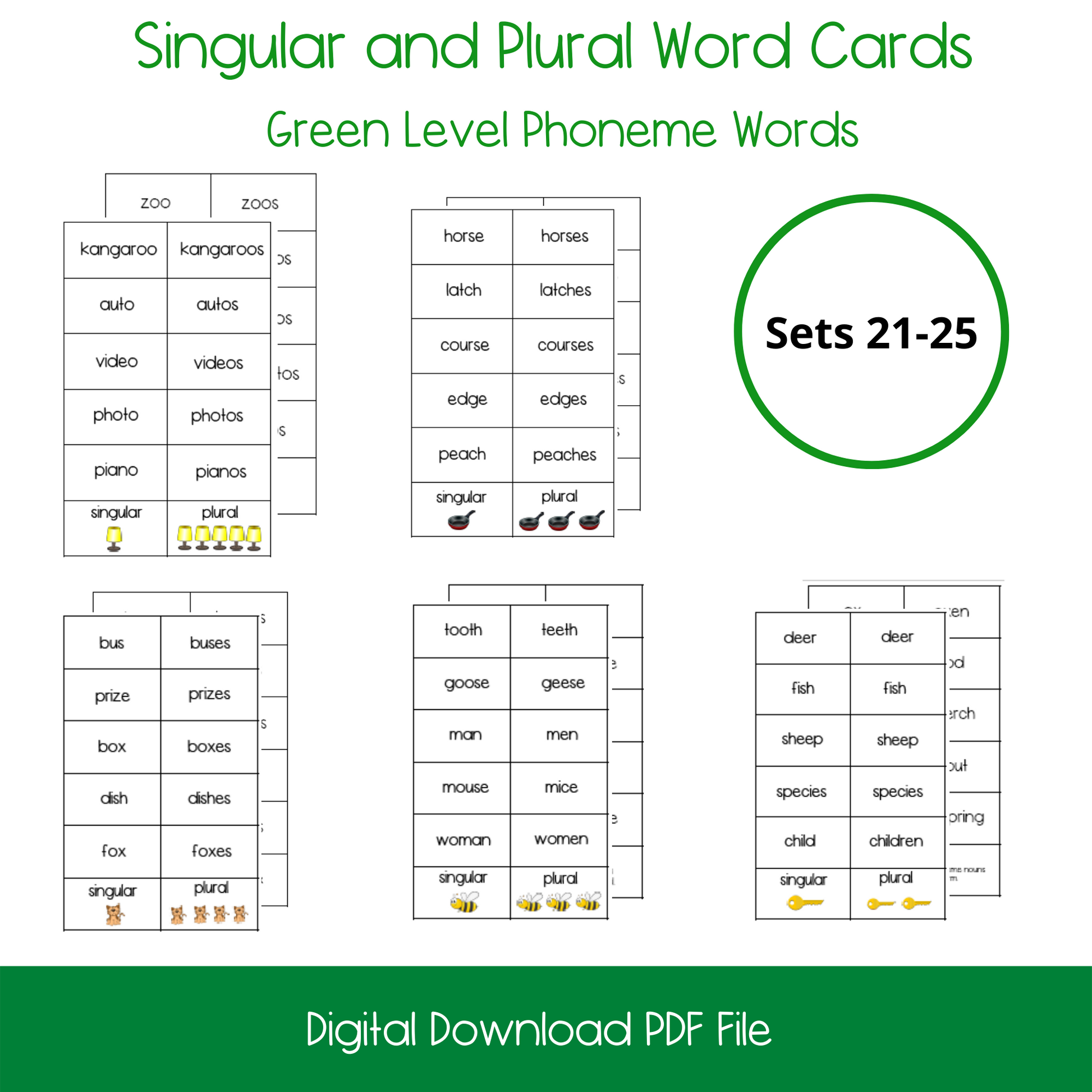 Printable Montessori Green Level Singular and Plural Cards, printable elementary singular and plural activity cards, printable ELL and ESL singular and plural cards for english language learners, homeschool