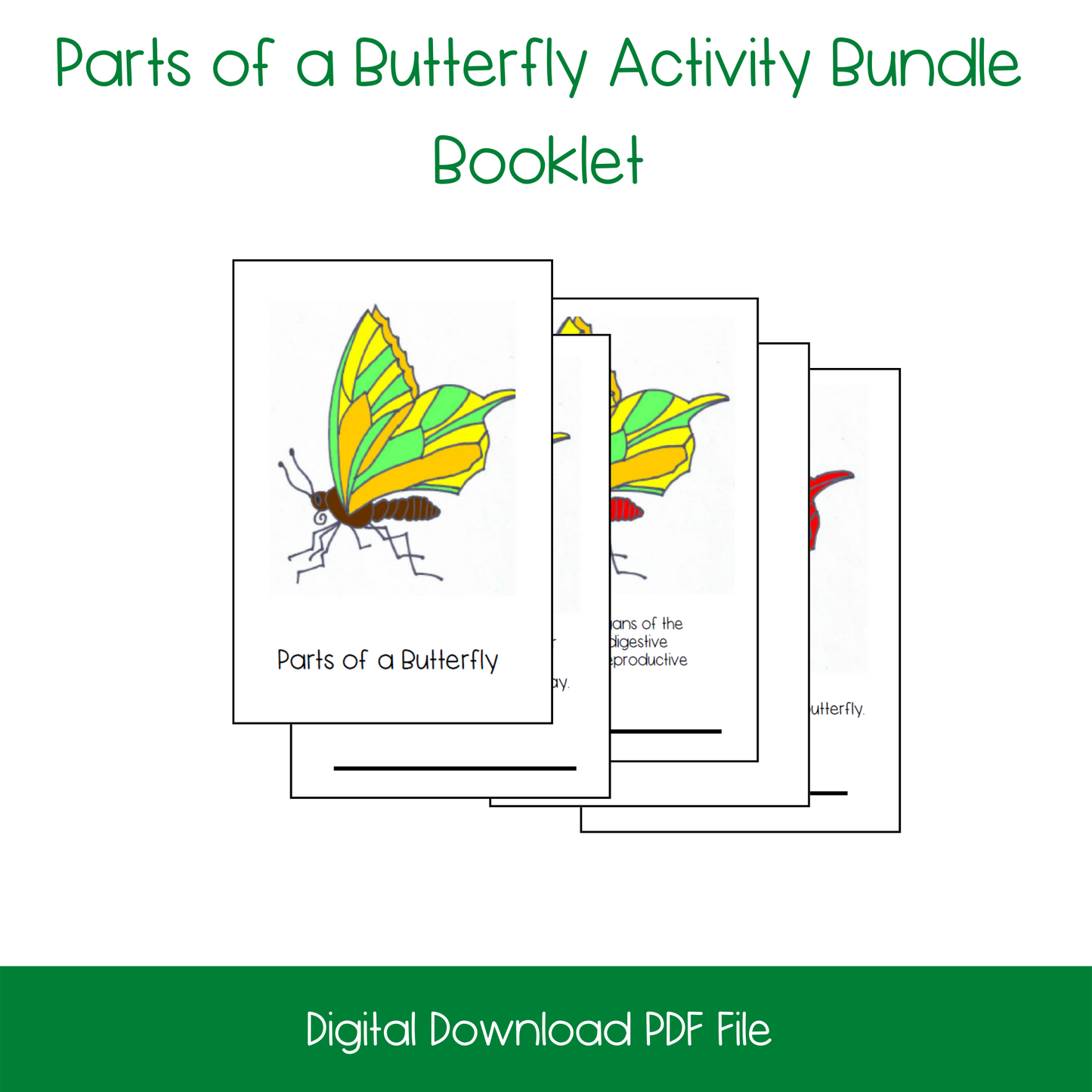 Montessori Parts of a Butterfly Nomenclature and 3-Part Cards, printable kindergarten life science activity, printable elementary life science activity, printable butterfly lesson activity