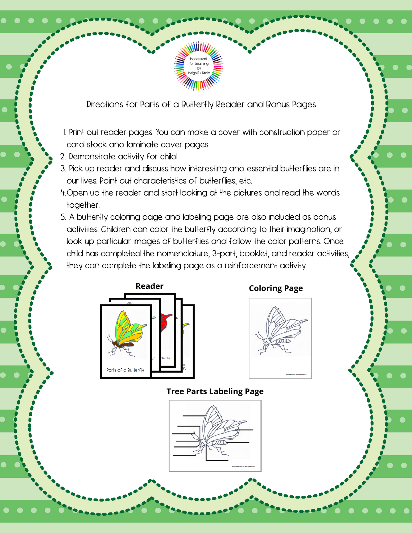 Parts of a Butterfly Activity Bundle