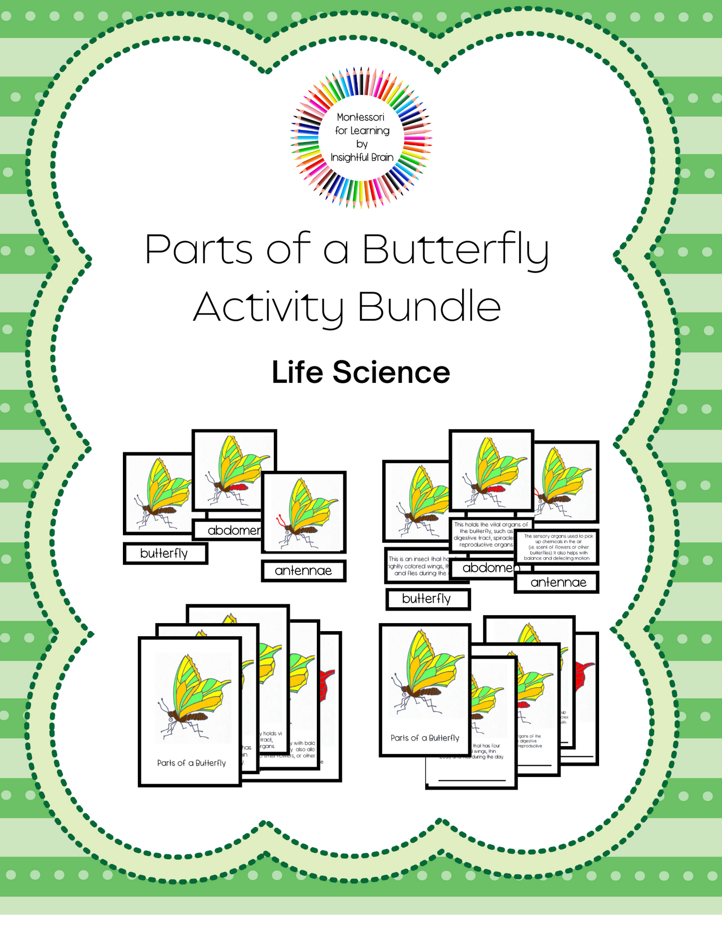 Parts of a Butterfly Activity Bundle