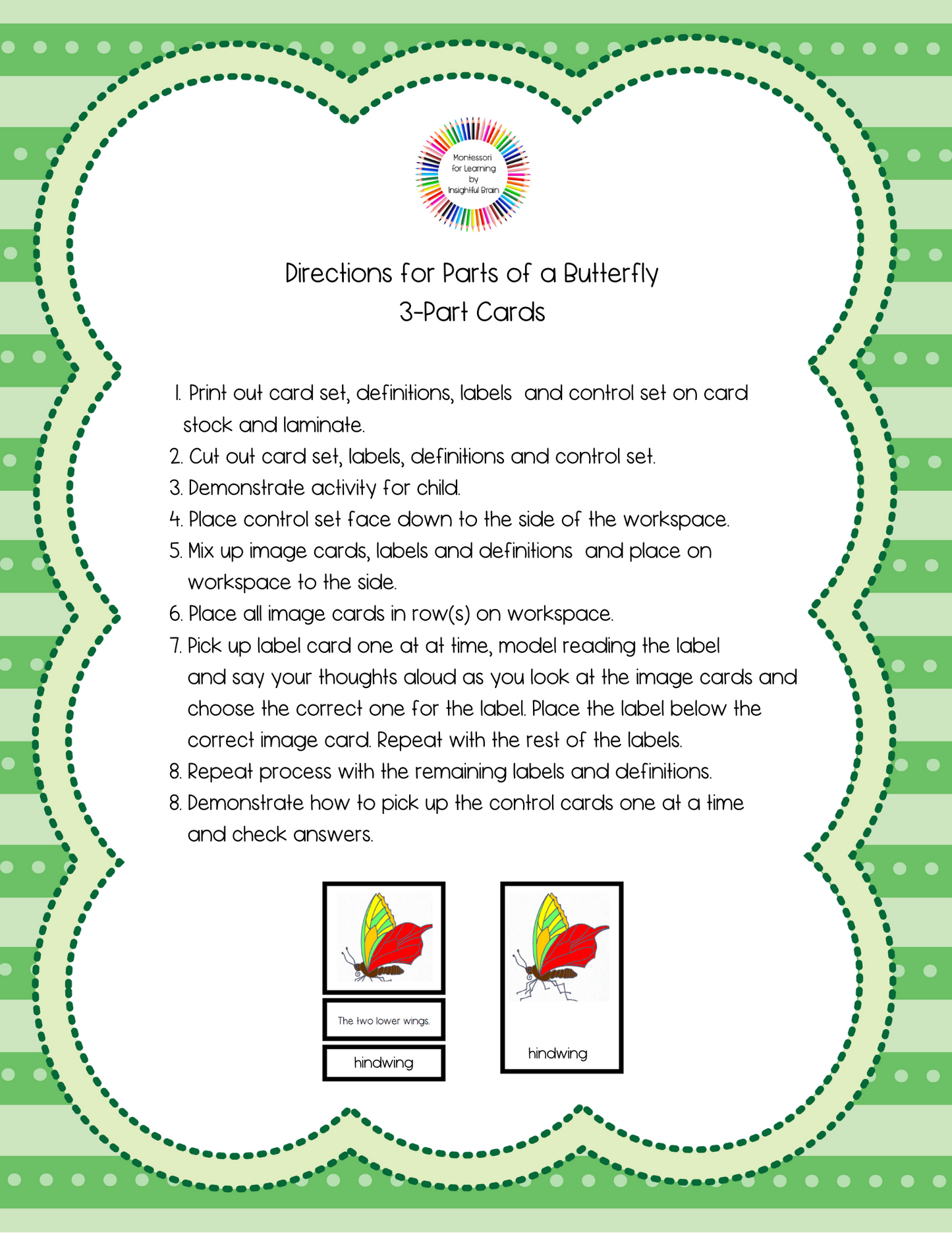 Parts of a Butterfly Activity Bundle