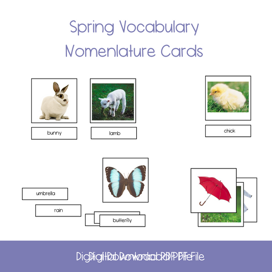Printable spring nomenclature cards, printable montessori nomenclature cards, printable kindergarten spring nomenclature vocabulary cards, printable homeschool spring nomenclature vocabulary cards, printable ESL spring vocabulary cards