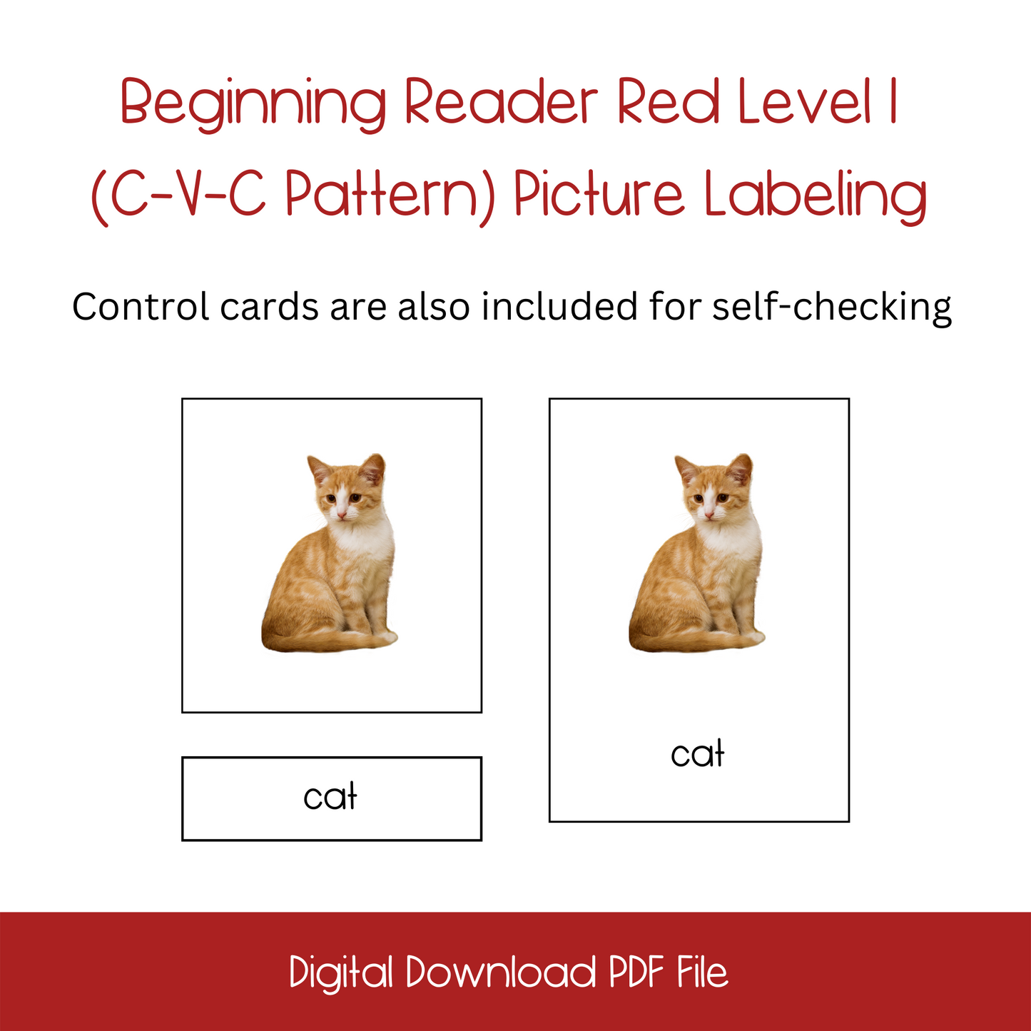 Printable Beginning Reader Picture Labeling Cards Set1, montessori Printable Beginning Sound Activity Cards Set1, homeschool Printable Beginning Sound Activity Cards Set1, printable ESL Beginning Sound Activity Cards Set1, printable ELL Beginning Sound Activity Cards Set1, printable kindergarten beginning sound actcivity, English language learners
