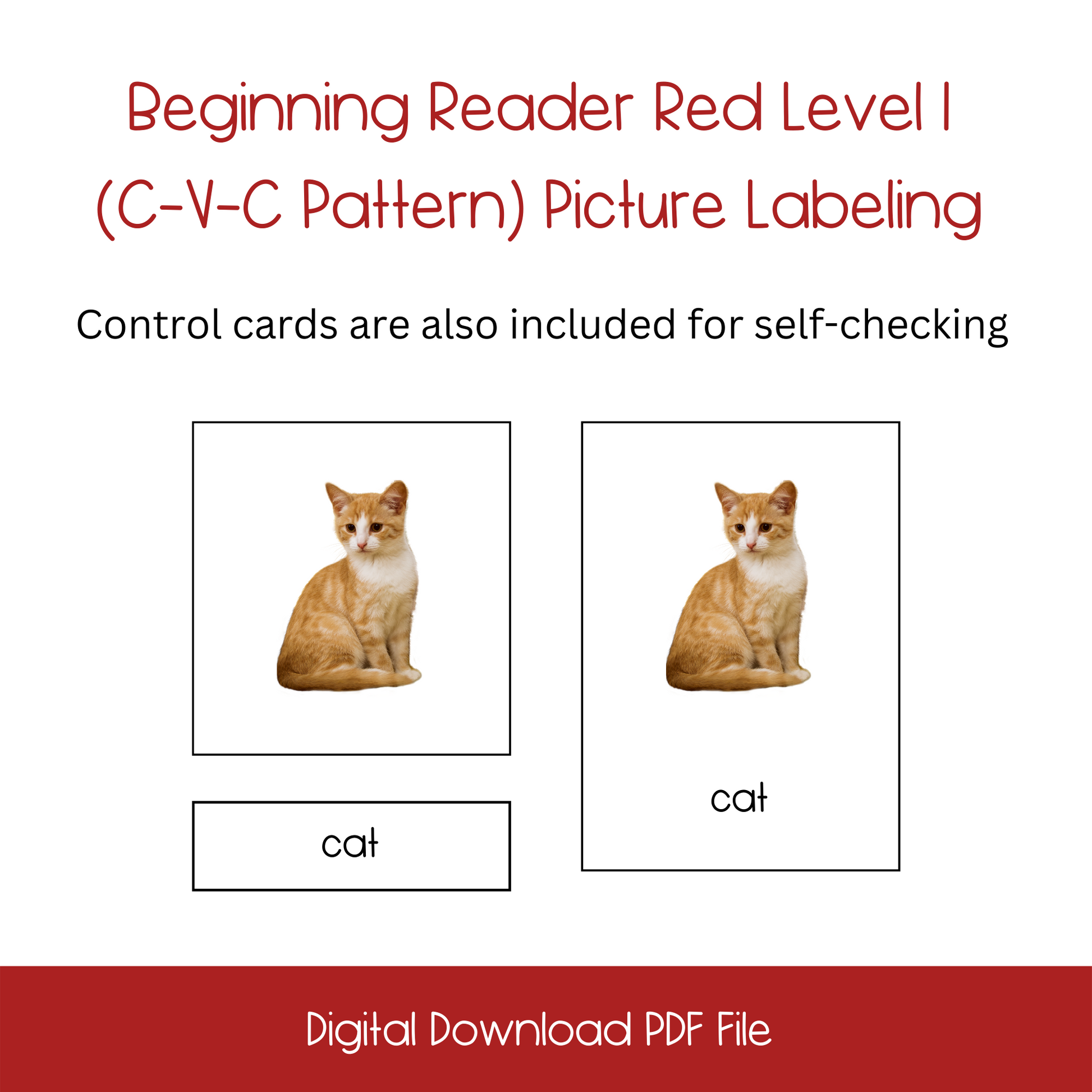 Printable Beginning Reader Picture Labeling Cards Set1, montessori Printable Beginning Sound Activity Cards Set1, homeschool Printable Beginning Sound Activity Cards Set1, printable ESL Beginning Sound Activity Cards Set1, printable ELL Beginning Sound Activity Cards Set1, printable kindergarten beginning sound actcivity, English language learners