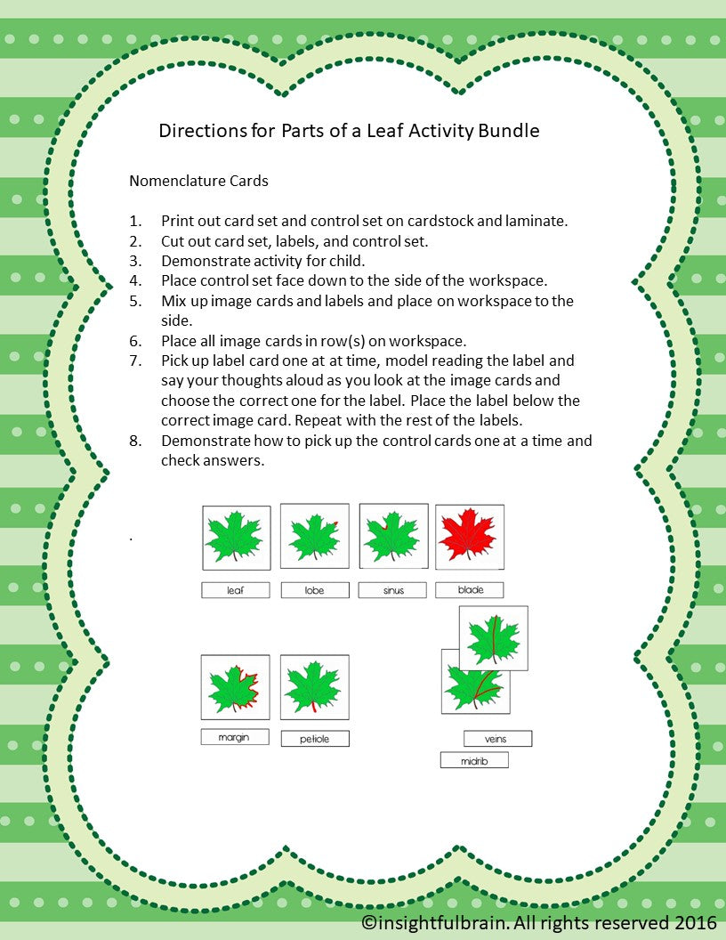 Montessori parts of a leaf, parts of a leaf nomenclature, kindergarten parts of a leaf, parts of a leaf 3-part cards, montessori biology printable lesson, life science printable lesson montessori