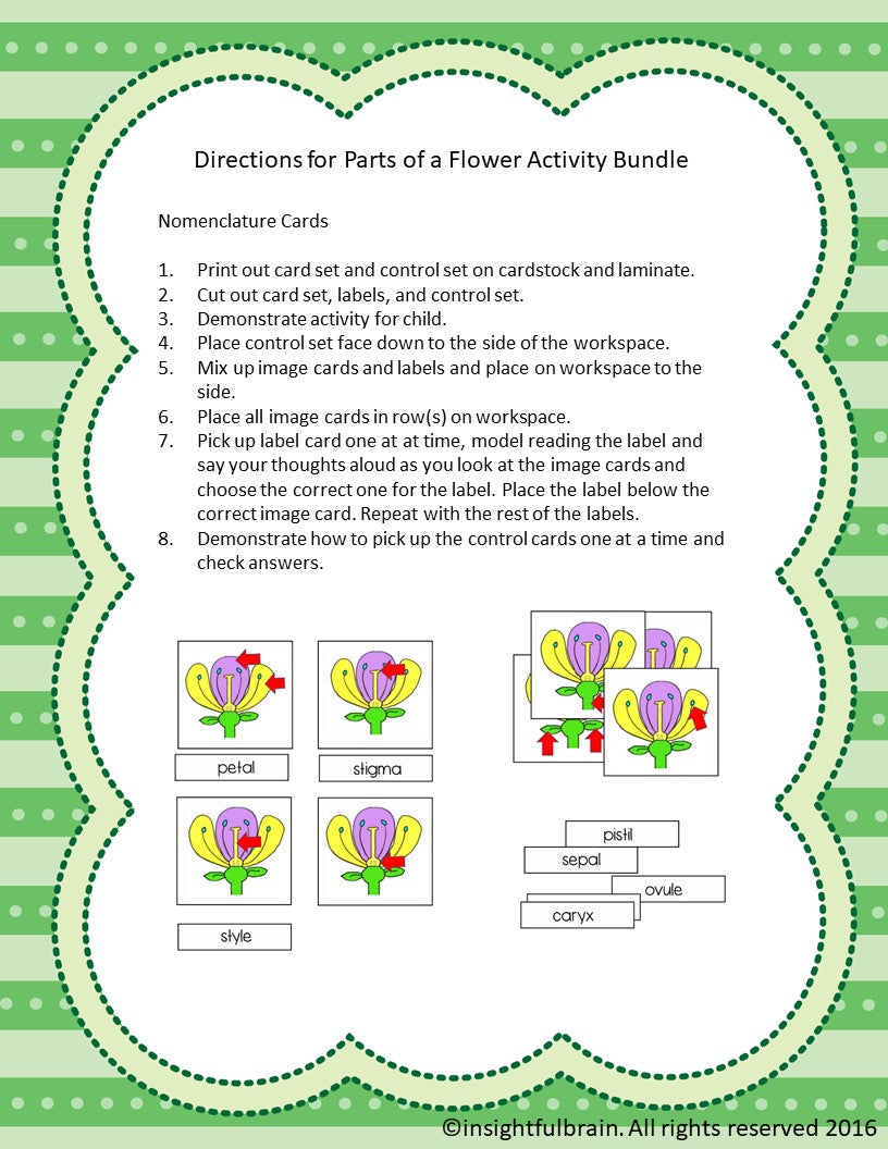 Parts of A Flower Bundle