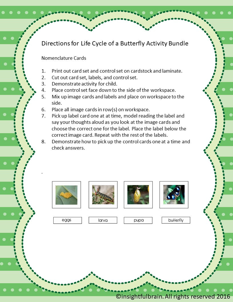 Life Cycle of a Butterfly Activity Bundle