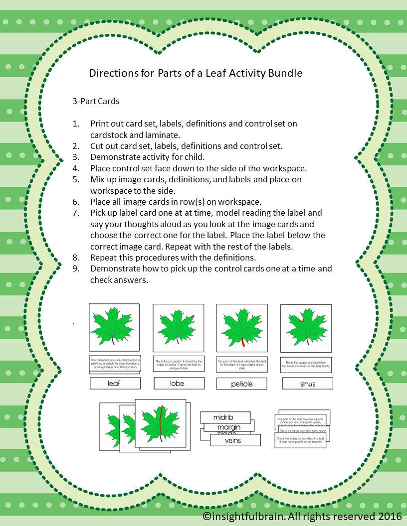 Montessori parts of a leaf, parts of a leaf nomenclature, kindergarten parts of a leaf, parts of a leaf 3-part cards, montessori biology printable lesson, life science printable lesson montessori