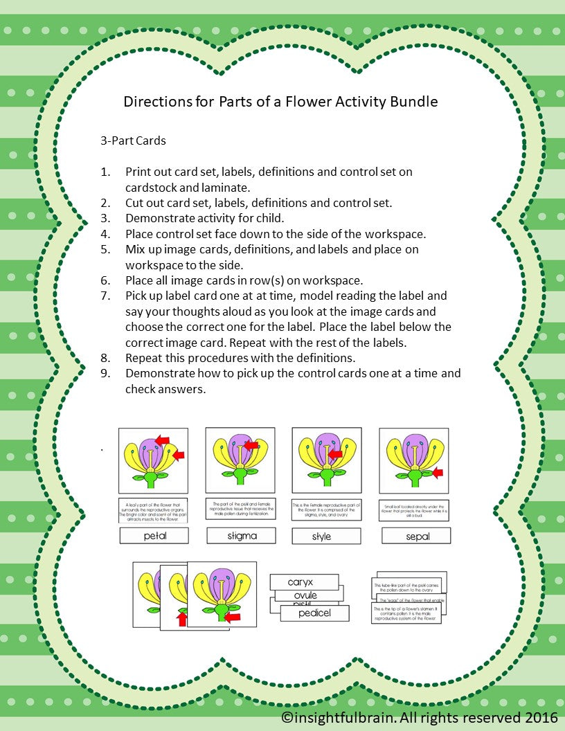 Parts of A Flower Bundle