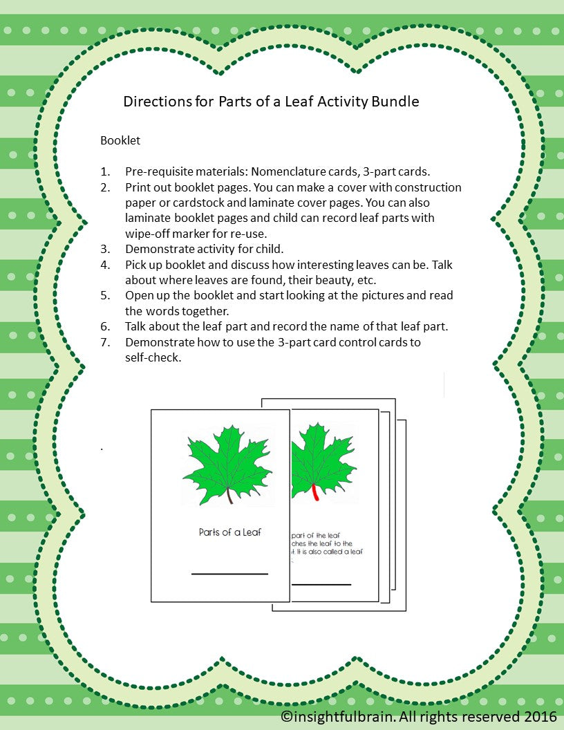 Montessori parts of a leaf, parts of a leaf nomenclature, kindergarten parts of a leaf, parts of a leaf 3-part cards, montessori biology printable lesson, life science printable lesson montessori