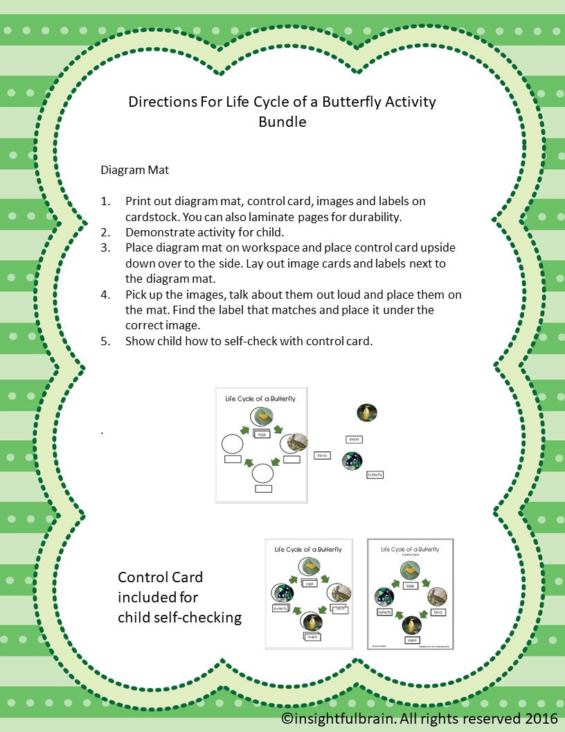 Life Cycle of a Butterfly Activity Bundle