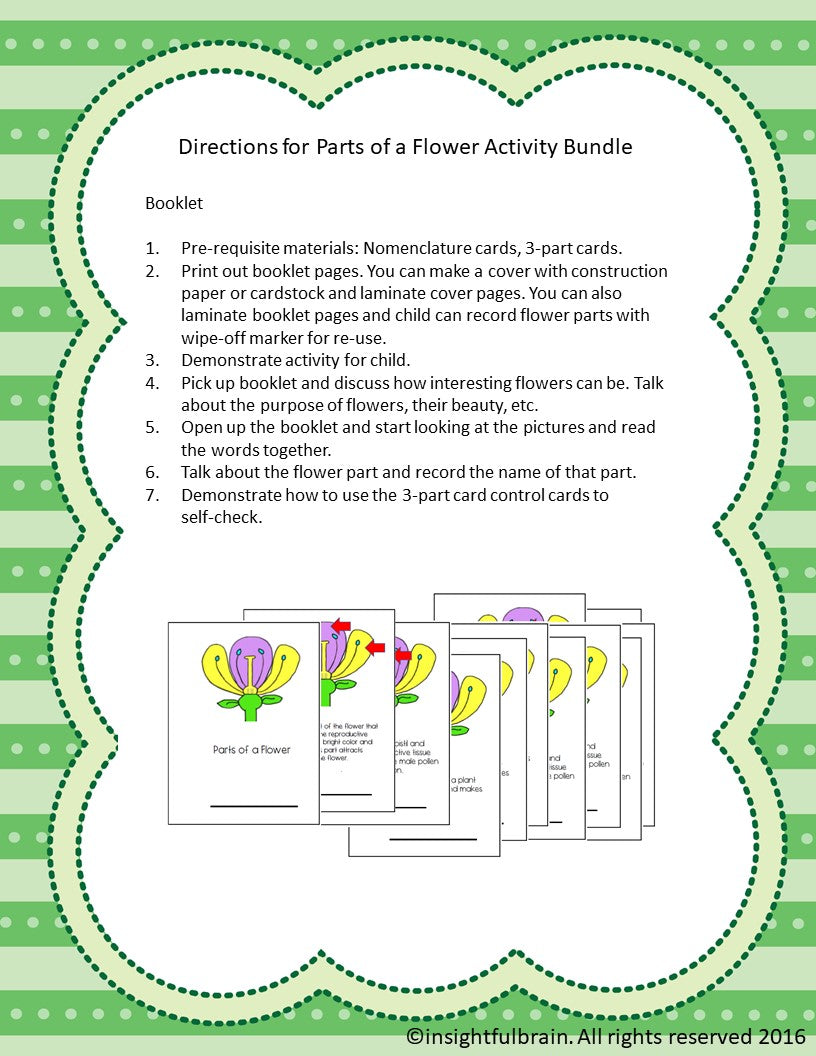 Parts of A Flower Bundle