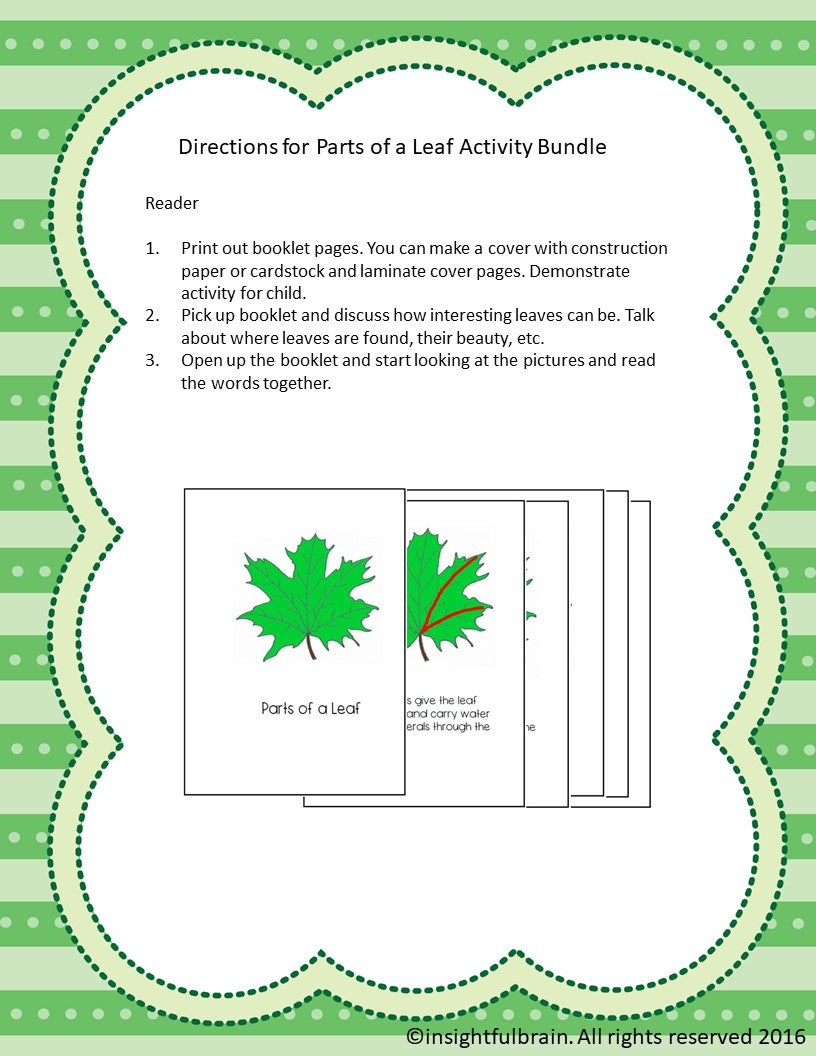 Montessori parts of a leaf, parts of a leaf nomenclature, kindergarten parts of a leaf, parts of a leaf 3-part cards, montessori biology printable lesson, life science printable lesson montessori