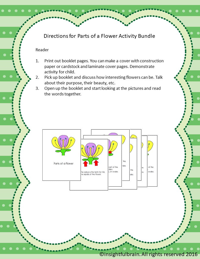 Parts of A Flower Bundle