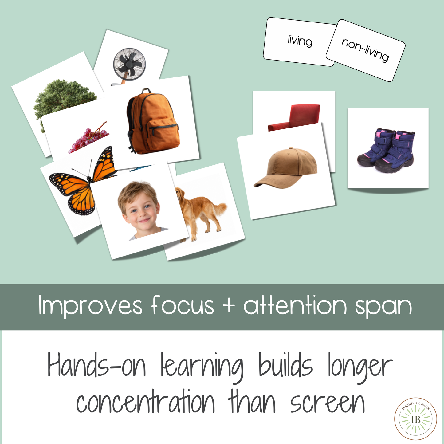 Living & Non-Living Sorting Cards | Real Photo Printable Activity | Ages 3–6