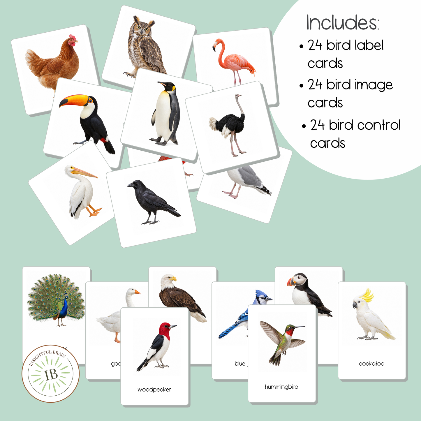 Birds Nomenclature Cards | 24 Printable Three-Part Bird Cards | Ages 3–6  | Ages 6-9