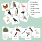 Birds Nomenclature Cards | 24 Printable Three-Part Bird Cards | Ages 3–6  | Ages 6-9
