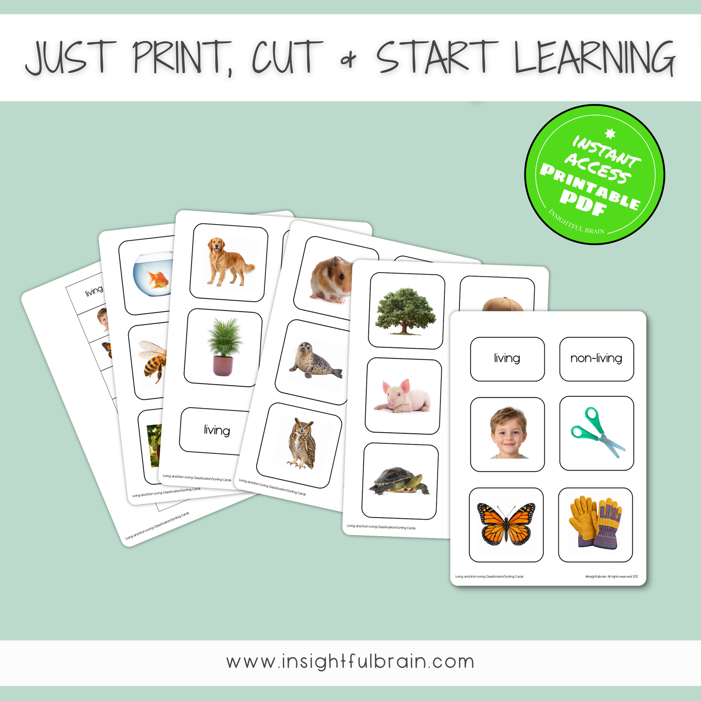 Living & Non-Living Sorting Cards | Real Photo Printable Activity | Ages 3–6