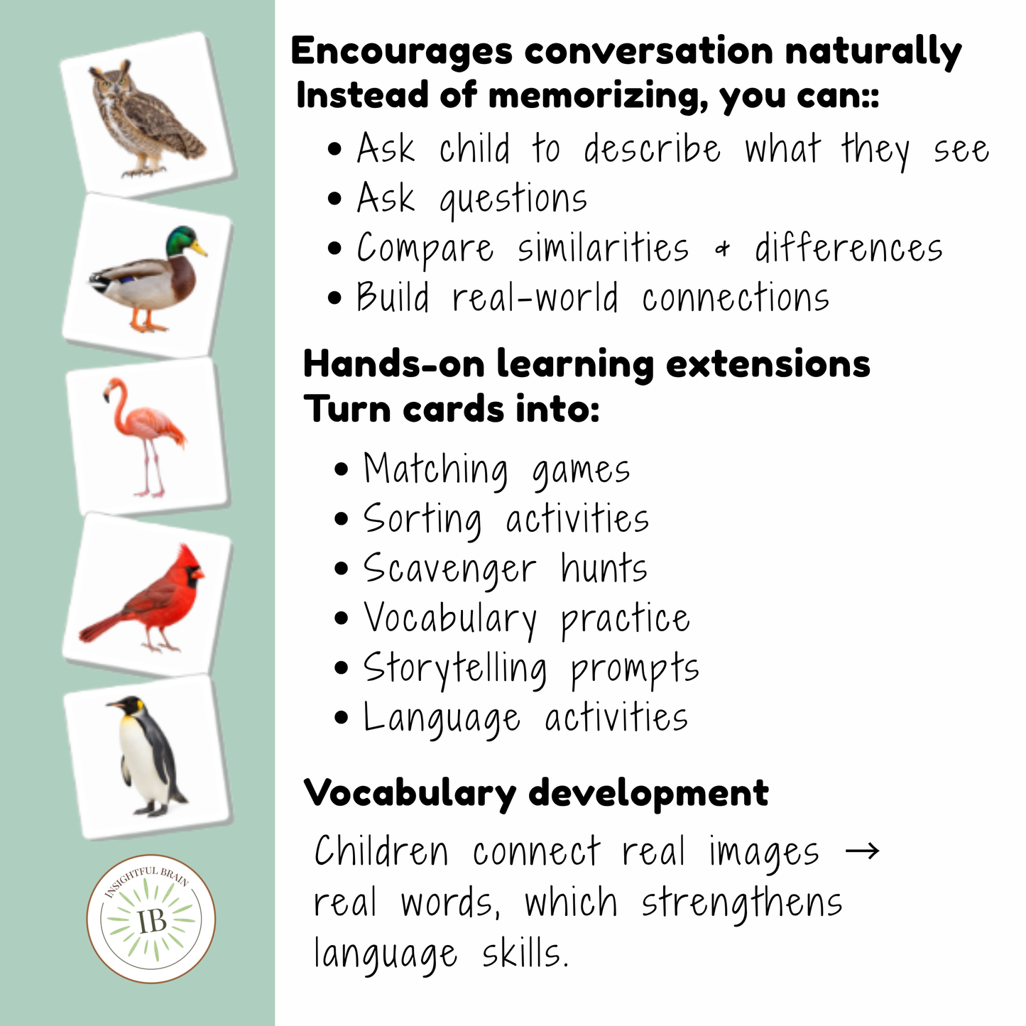 Birds Nomenclature Cards | 24 Printable Three-Part Bird Cards | Ages 3–6  | Ages 6-9