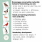 Birds Nomenclature Cards | 24 Printable Three-Part Bird Cards | Ages 3–6  | Ages 6-9