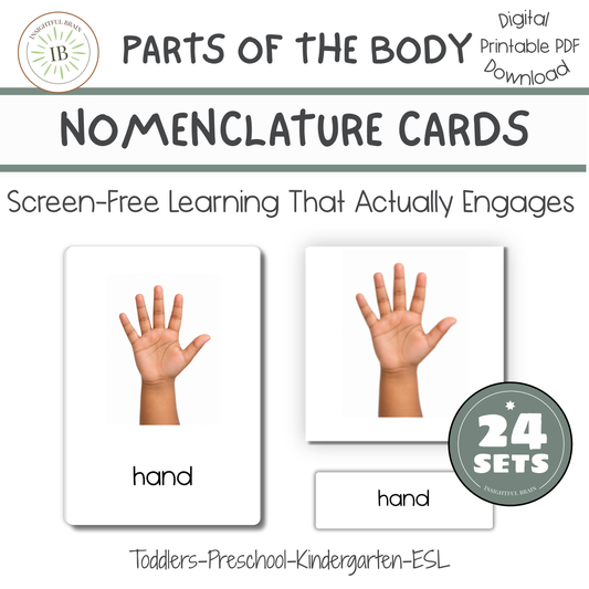Parts of the Body nomenclature cards, parts of the body 3 part cards, Montessori-inspired learning at home, Preschool and kindergarten activities, Homeschool anatomy and science lessons, Vocabulary and language development, Early literacy and word recognition, Independent learning centers, Parent-child learning activities, Recommended Ages: 3–6 Years