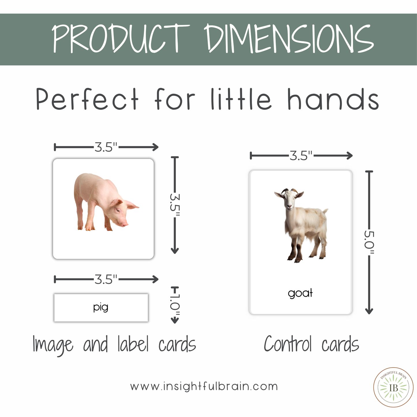 Tool Nomenclature Cards | Montessori  3-Part Cards | 43 Tools | Printable PDF Cards | Ages 3–6