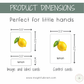 Montessori Fruit Nomenclature Cards Printable | Preschool Fruit Vocabulary Activity | Montessori 3 Part Cards | Homeschool Language Materials