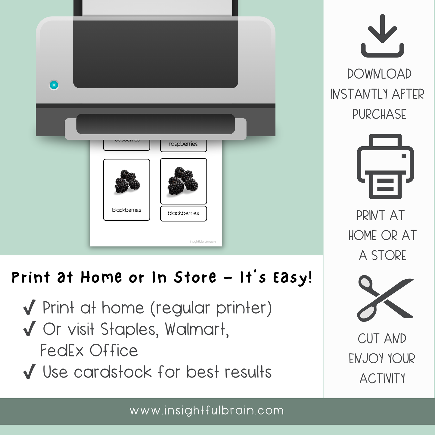 Montessori Fruit Nomenclature Cards Printable | Preschool Fruit Vocabulary Activity | Montessori 3 Part Cards | Homeschool Language Materials