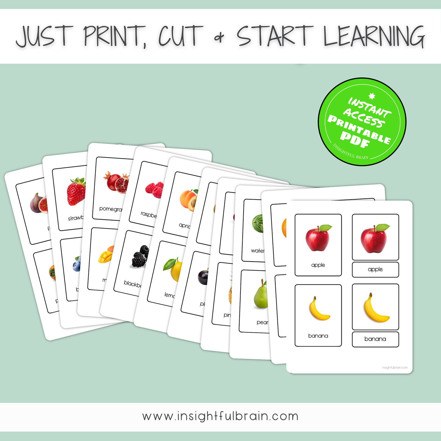 Montessori Fruit Nomenclature Cards Printable | Preschool Fruit Vocabulary Activity | Montessori 3 Part Cards | Homeschool Language Materials