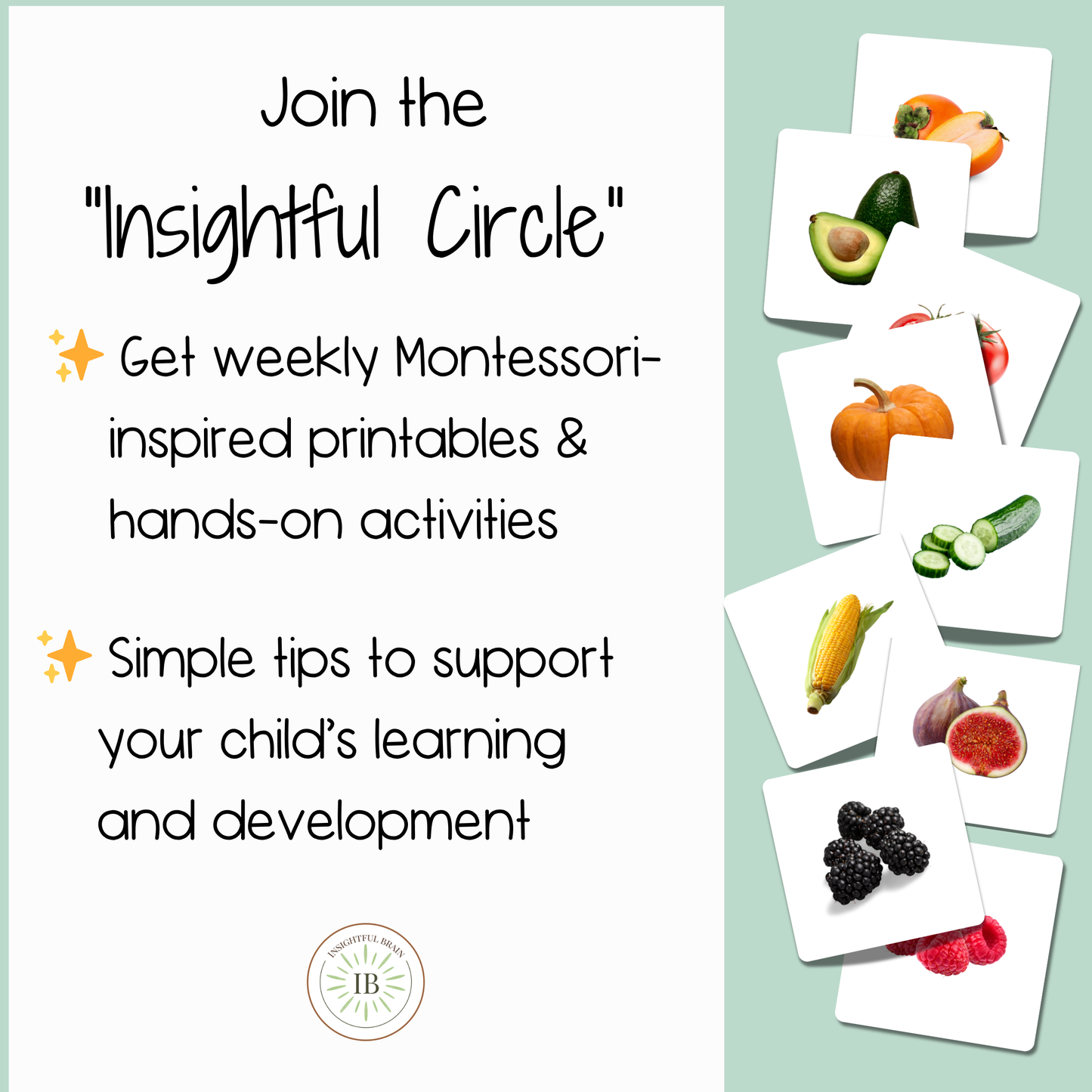 Montessori Fruit Nomenclature Cards Printable | Preschool Fruit Vocabulary Activity | Montessori 3 Part Cards | Homeschool Language Materials