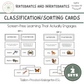 Explore animal classification with 24 real-photo vertebrate and invertebrate sorting cards in 2 sets. Montessori-inspired printable science activity for ages 3–6.