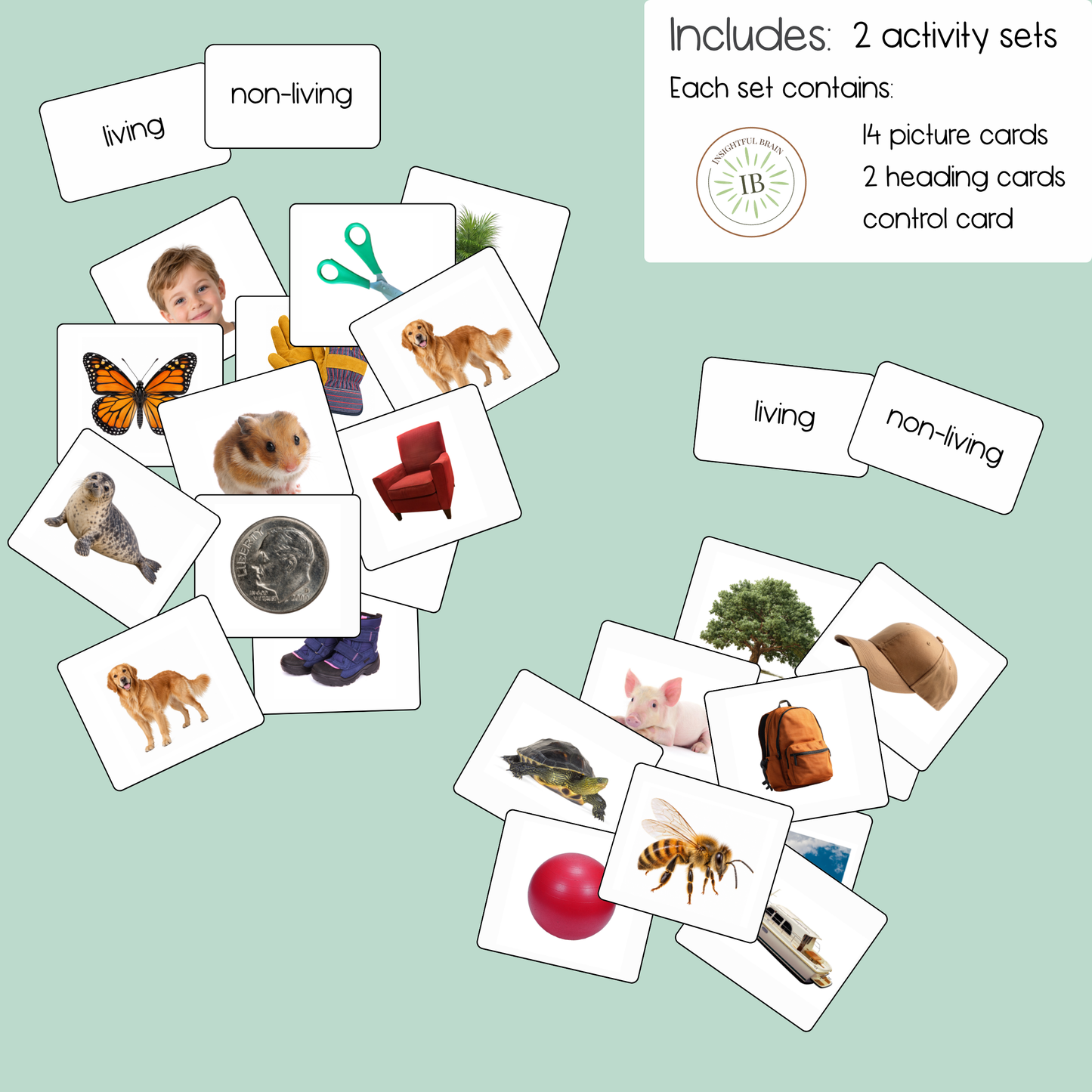 Living & Non-Living Sorting Cards | Real Photo Printable Activity | Ages 3–6