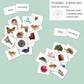 Living & Non-Living Sorting Cards | Real Photo Printable Activity | Ages 3–6
