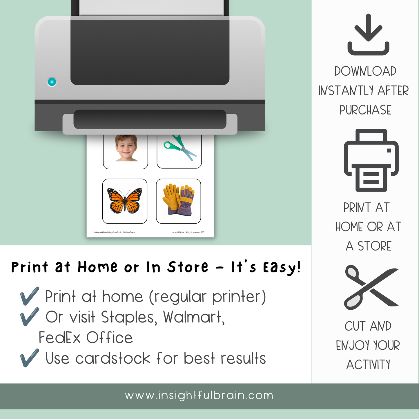 Living & Non-Living Sorting Cards | Real Photo Printable Activity | Ages 3–6