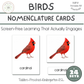 Bird nomenclature cards, Montessori 3-part cards, montessori science, preschool science, pre-reading