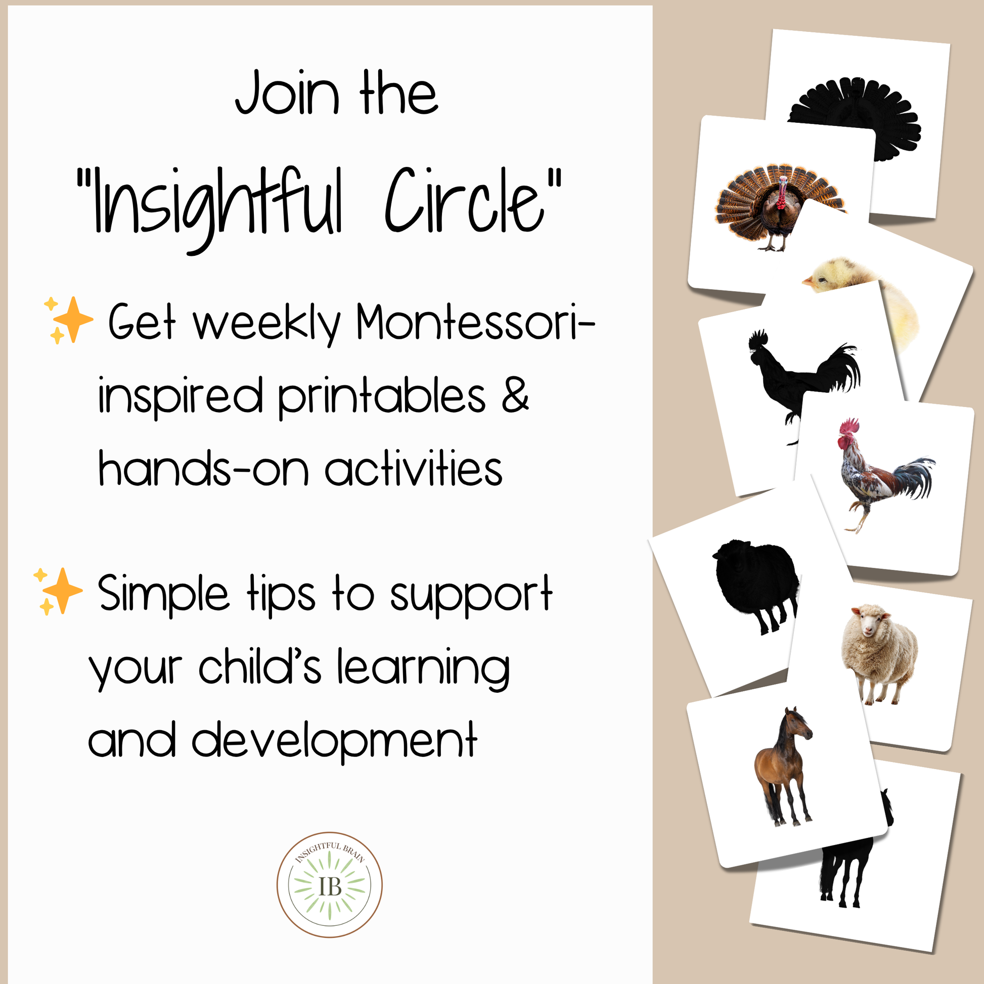 farm animal montessori materials, montessori lesson activity, preschool