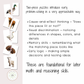 Farm Animal 2-Piece Puzzle Cards | Printable Montessori-Inspired Preschool Activity | Matching & Early Learning