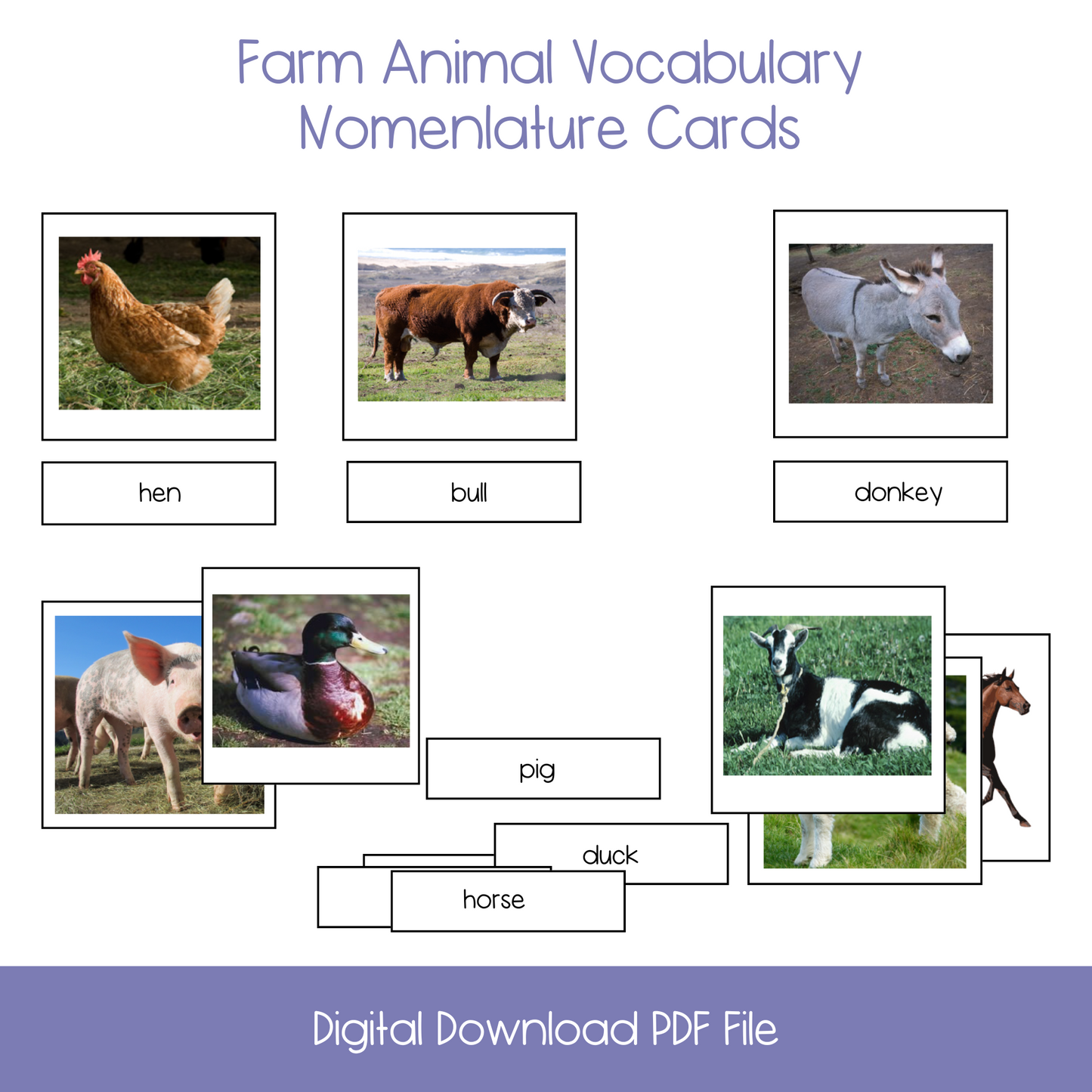 BUNDLE OFFER: Early Reading Vocabulary (6 Activities)