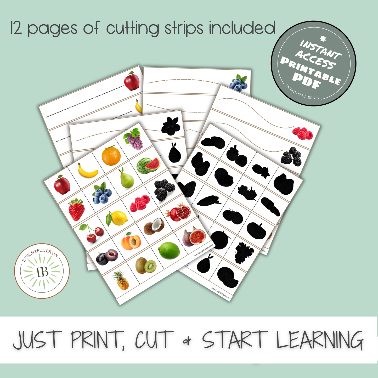 Montessori Scissor Work Printable | Preschool Cutting Practice | Homeschool Fine Motor Skills Activity | Toddler Cutting Strips